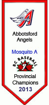 https://abbotsfordbaseball.ca/wp-content/uploads/sites/619/2023/12/MosA13.jpg