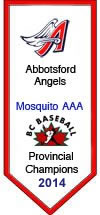 https://abbotsfordbaseball.ca/wp-content/uploads/sites/619/2023/12/MosAAA14.jpg