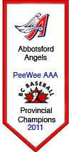 https://abbotsfordbaseball.ca/wp-content/uploads/sites/619/2023/12/PW-2011AAAchamps.gif
