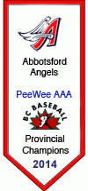 https://abbotsfordbaseball.ca/wp-content/uploads/sites/619/2023/12/PeeAAA14.jpg