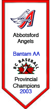 https://abbotsfordbaseball.ca/wp-content/uploads/sites/619/2023/12/bant-2003aachamps.gif