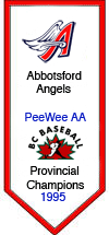 https://abbotsfordbaseball.ca/wp-content/uploads/sites/619/2023/12/pw-1995aachamps.gif